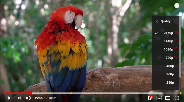 4k videos
